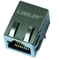 LPJ16617CNL KRJ-H13FWDENL 1x1 RJ45 Ethernet Jakı